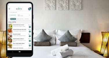 Why Your Hotel Operation Should Embrace Mobile Connectivity: Trends  & Examples